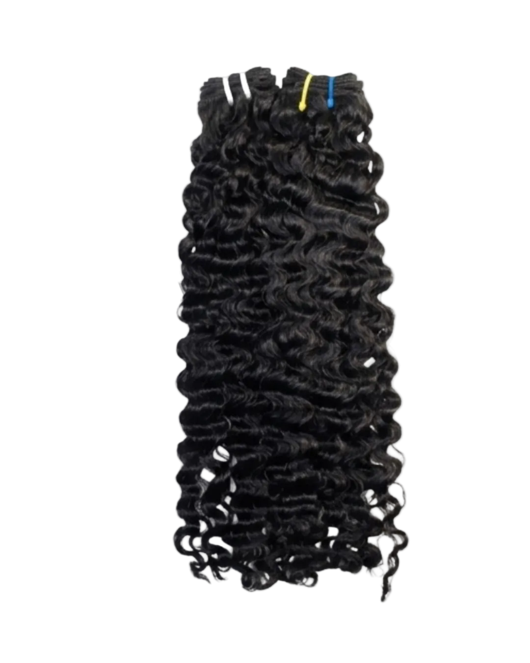 Burmese Curly Collection